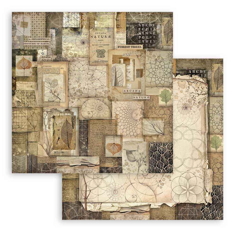 Scrapbookingpapper - Backgrounds - Forest - 10 - Stamperia - Tidformera
