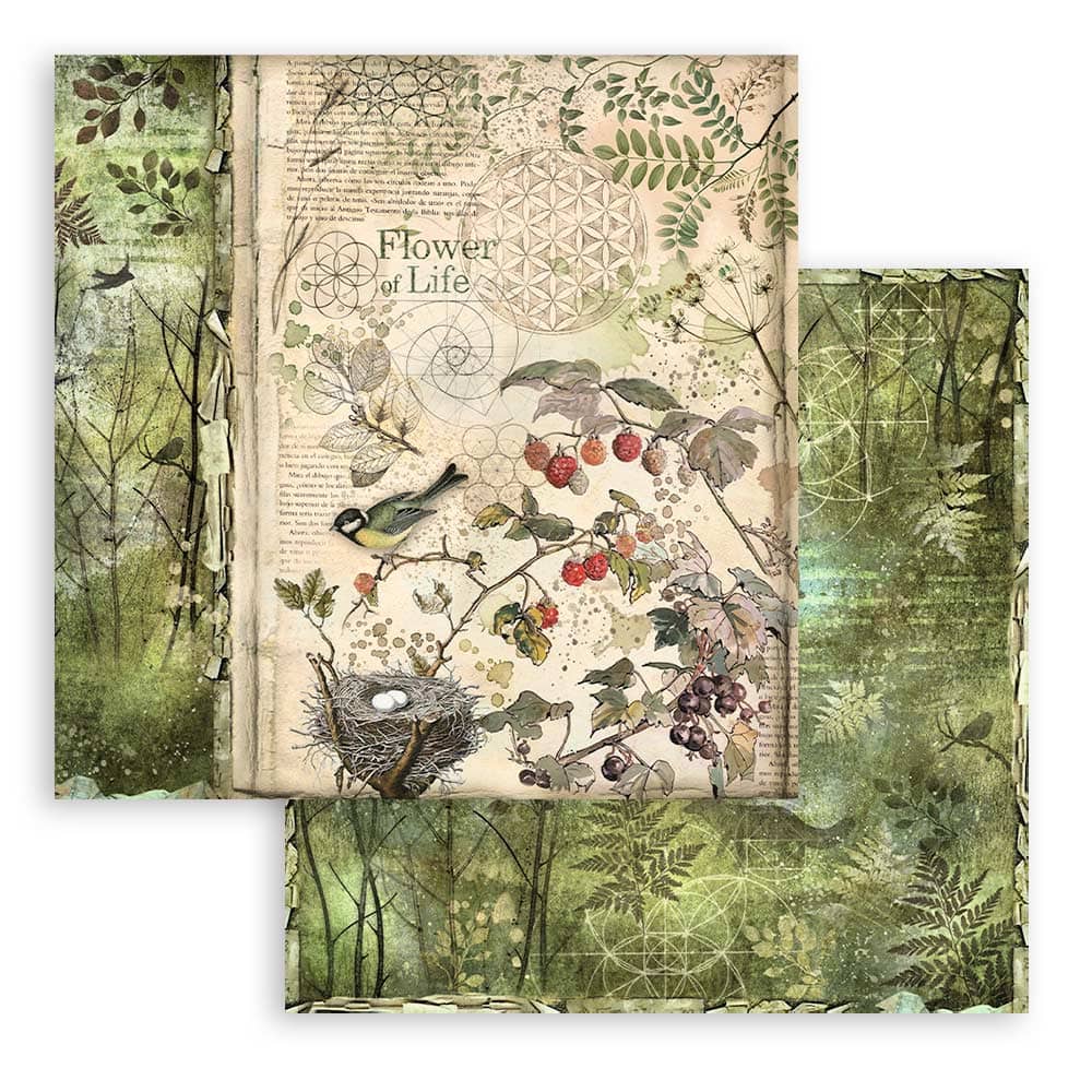 Scrapbookingpapper - Backgrounds - Forest - 7 - Stamperia - Tidformera