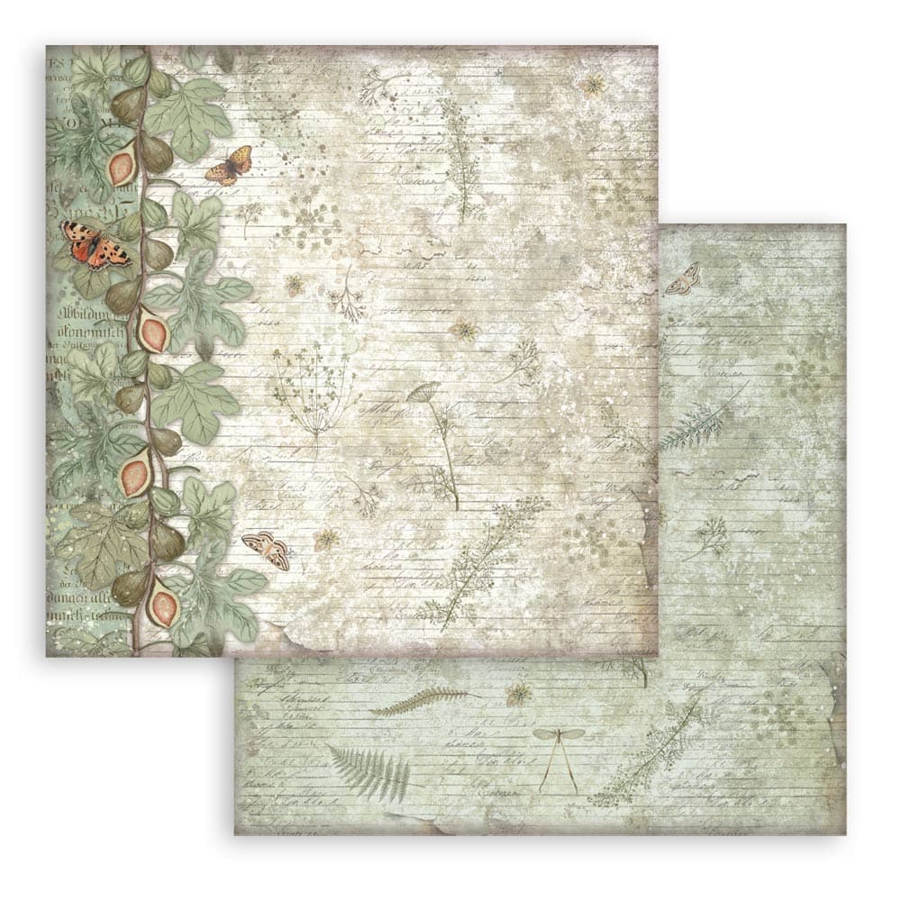 Scrapbookingpapper - Backgrounds - Herbarium Silvae - 9 - Stamperia - Tidformera