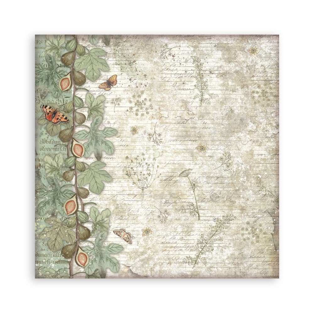 Scrapbookingpapper - Herbarium Silvae - Maxi Pad - 9 - Stamperia - Tidformera