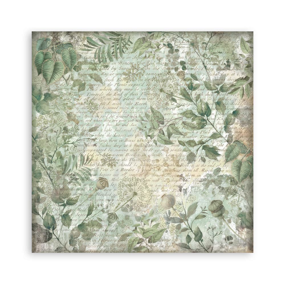 Scrapbookingpapper - Herbarium Silvae - Maxi Pad - 8 - Stamperia - Tidformera