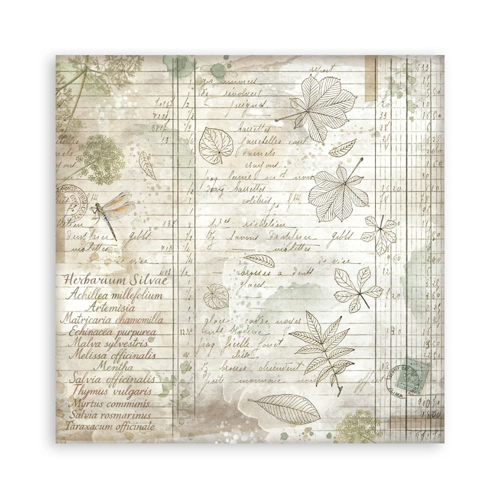 Scrapbookingpapper - Herbarium Silvae - Maxi Pad - 10 - Stamperia - Tidformera