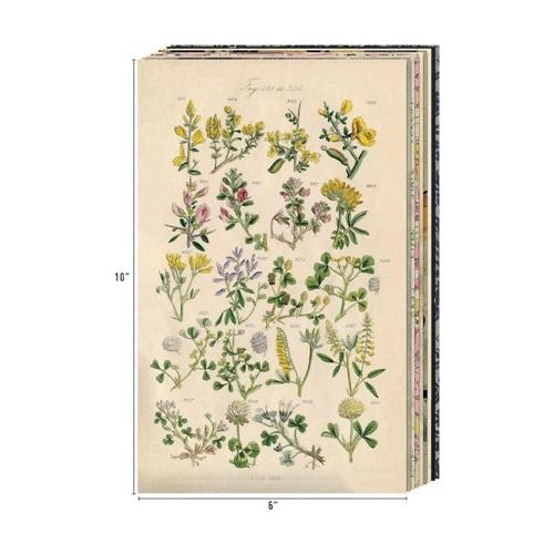 Scrapbookingpapper - Tim Holtz Backdrops Volume 3 - 4 - Tim Holtz - Tidformera