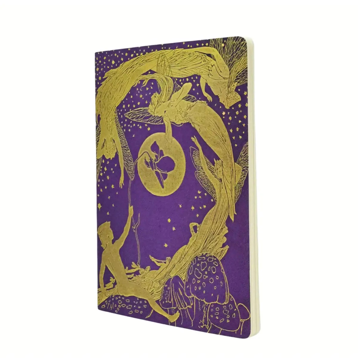 Skrivhäfte Cahier - Lang's fairy books - A4 Dotted - 1 - Paperblanks - Tidformera