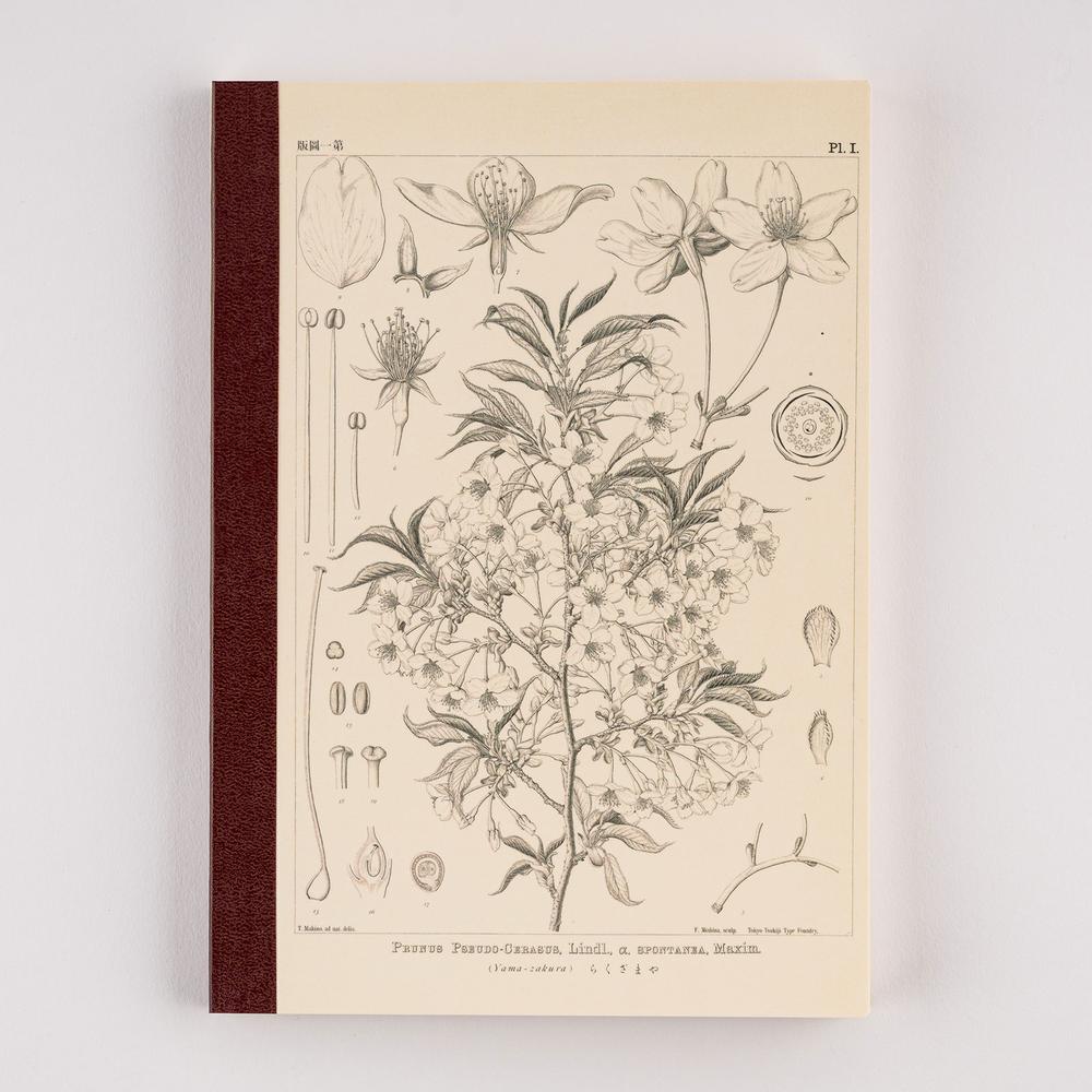 Tomitaro Makino: Hobonichi Graph Notebook (A5) - Yamazakura - 2027