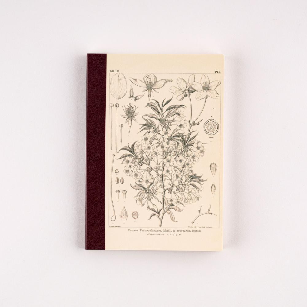 Tomitaro Makino: Hobonichi Graph Notebook (A6) - Yamazakura - 2027