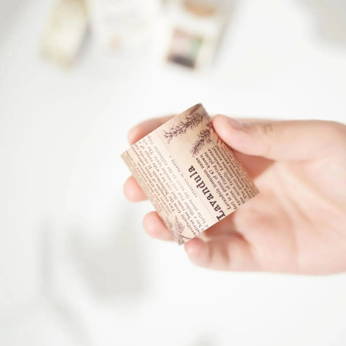 Sticker Set Washi Tape - Petals & Parchment - 4 - pack - 6 - Washi Tape Shop - Tidformera