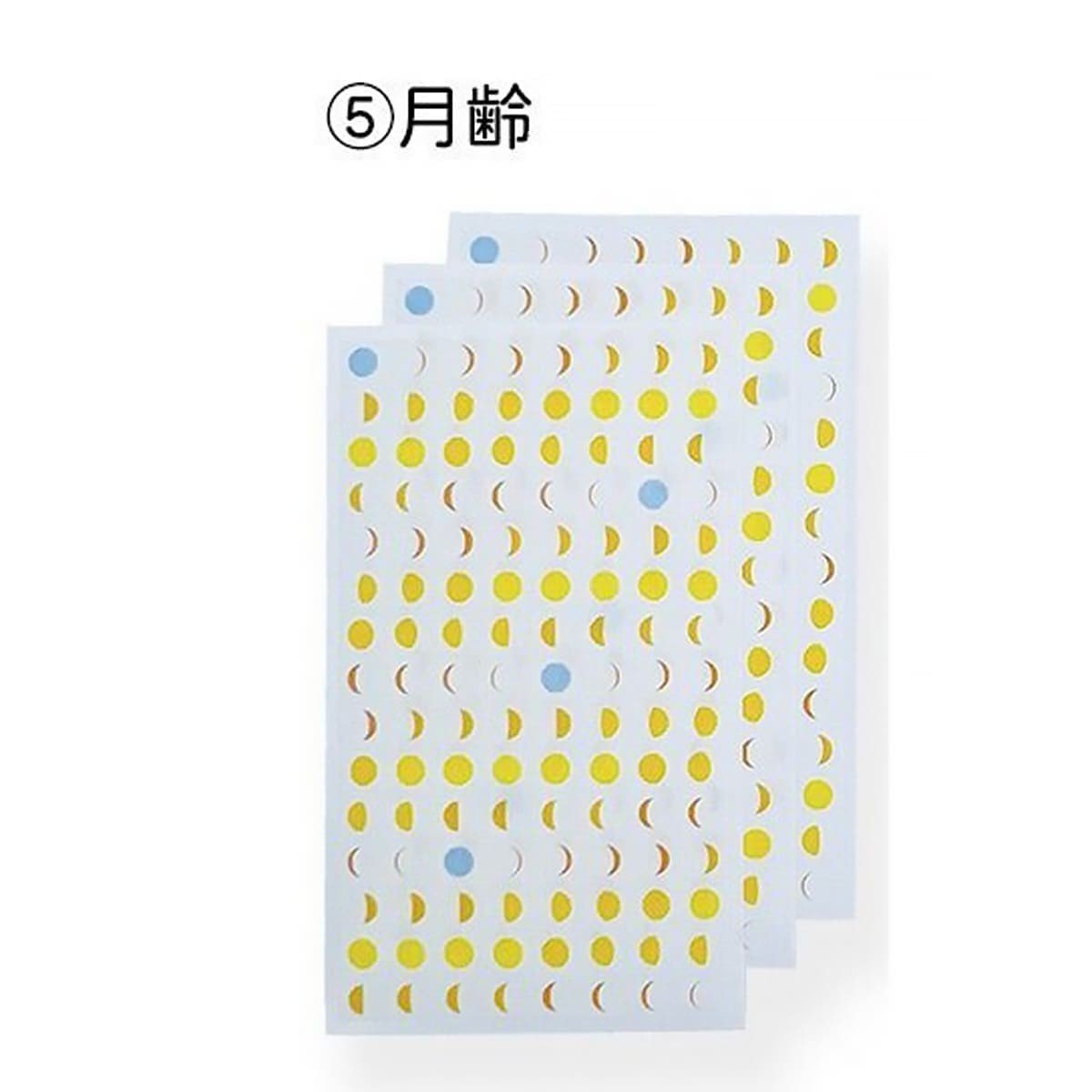 Stickers Diary Månens faser - 1 - Pine Book - Tidformera