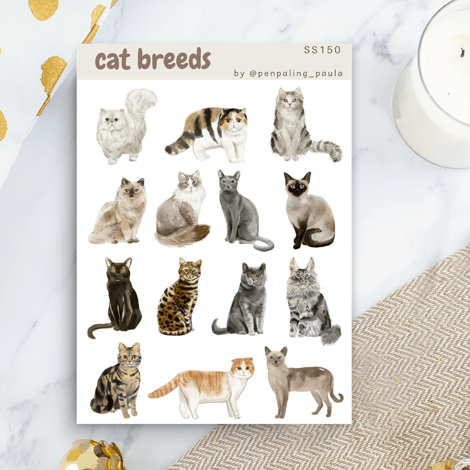 Stickers - Penpaling Paula - Cat breeds - 1 - Penpaling Paula - Tidformera