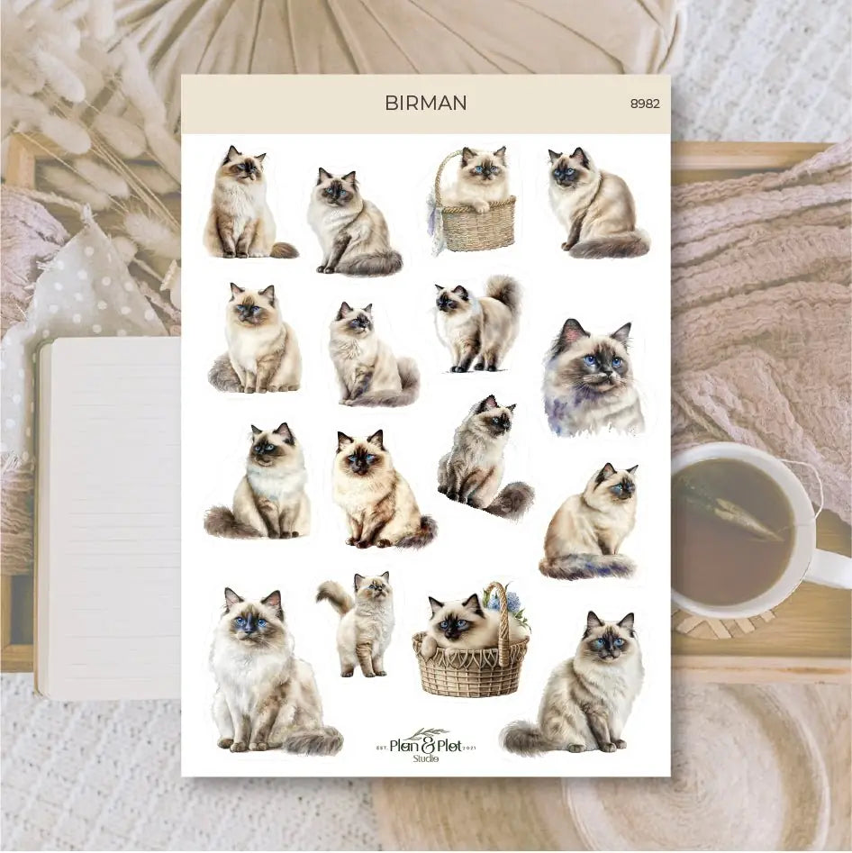Stickers Plan & Plot Studio Vinyl - Birman - 1 - Plan & Plot Studio - Tidformera