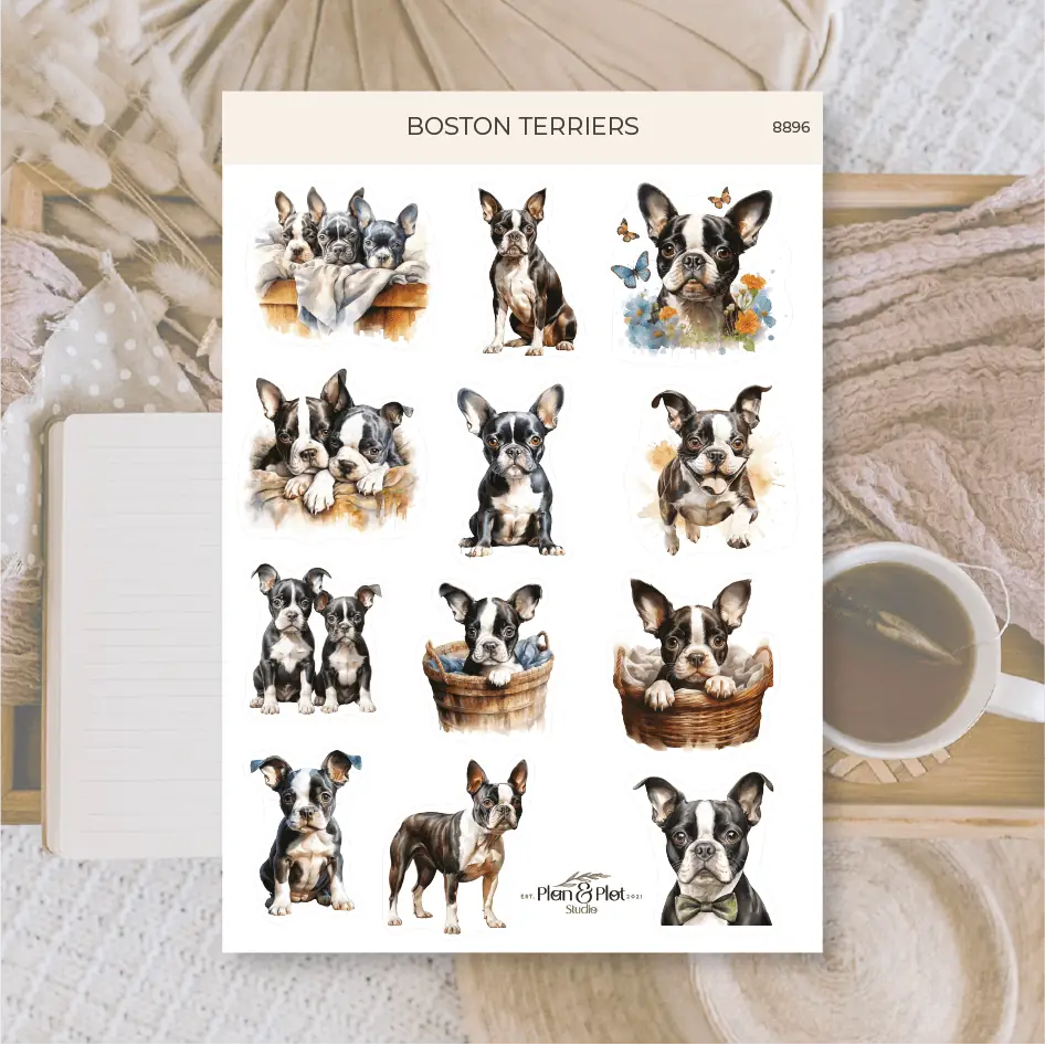 Stickers Plan & Plot Studio Vinyl - Boston terriers - 1 - Plan & Plot Studio - Tidformera