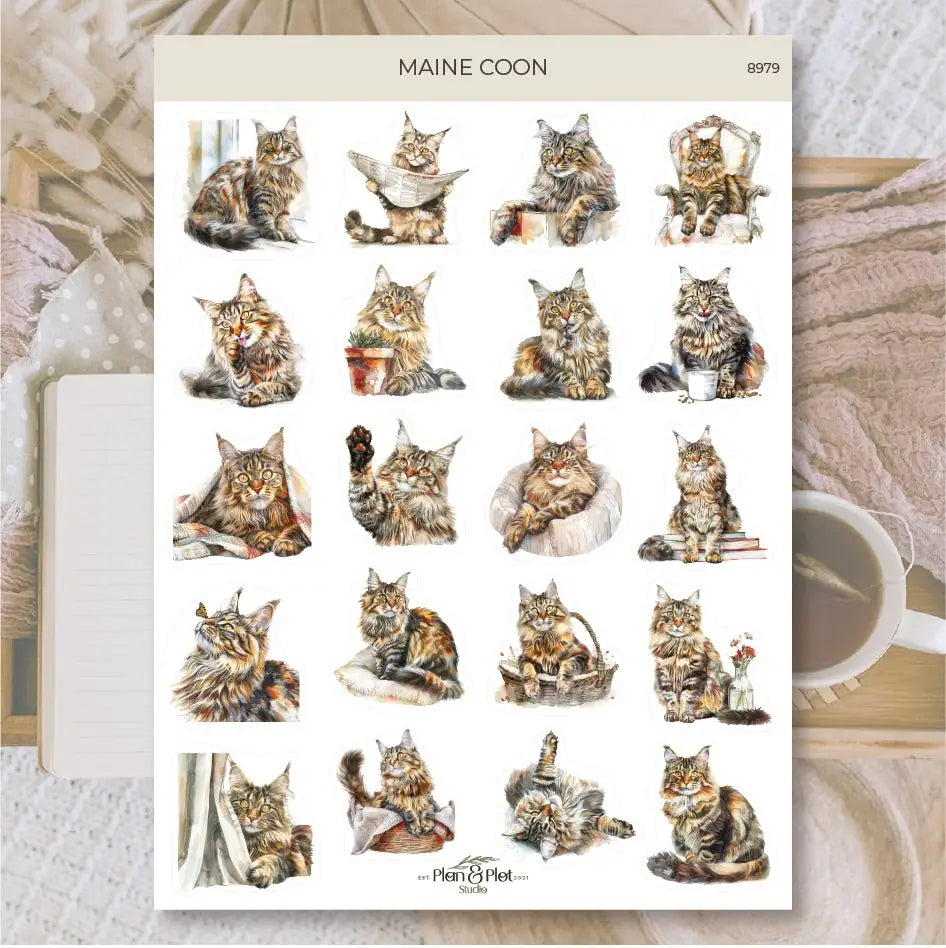 Stickers Plan & Plot Studio Vinyl - Maine coon - 1 - Plan & Plot Studio - Tidformera