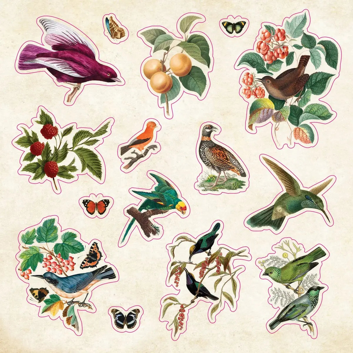 The sticker book of Curiosities! - 4 - Peter Pauper Press - Tidformera