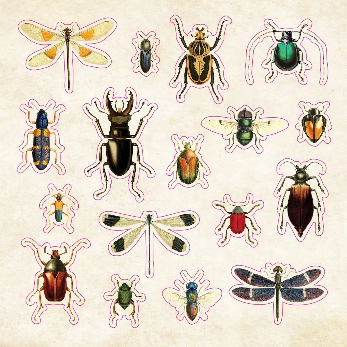 The sticker book of Curiosities! - 11 - Peter Pauper Press - Tidformera