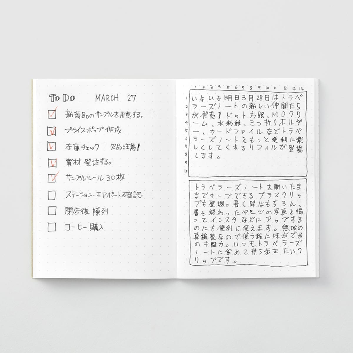 TN Passport Refill 014. Dot grid - 2 - Traveler's Company - Tidformera