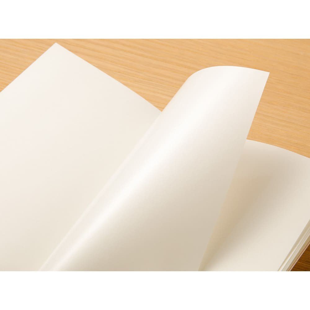 TN Passport Refill 017. Sticker Release Paper - 3 - Traveler's Company - Tidformera