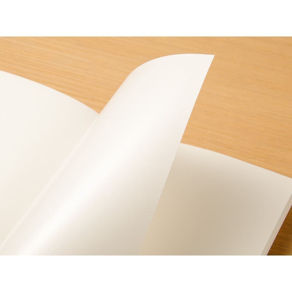 TN Regular Refill 031. Sticker Release Paper - 6 - Traveler's Company - Tidformera