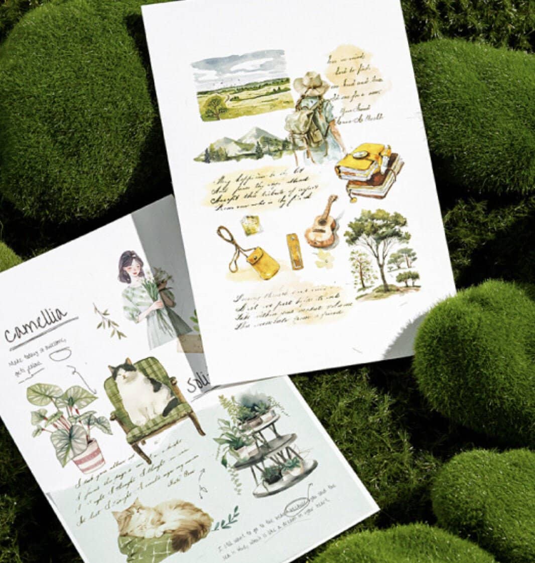 Transfer sticker - 2 - pack - Aerobic green plant - 2 - Mo Card - Tidformera