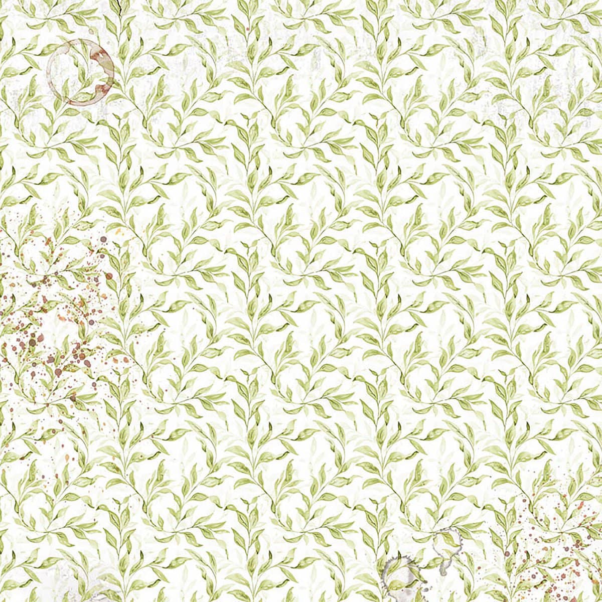 Vellum Paper 15 x 15 cm - Cabinet of curiosities - 6 - pack - 4 - Ciao Bella - Tidformera