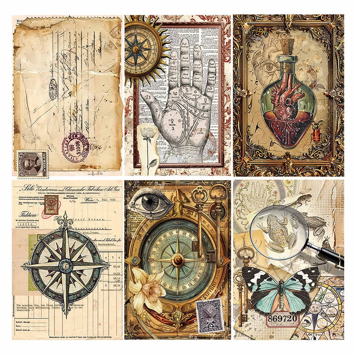 Vellum Paper 15 x 15 cm - Cabinet of curiosities - 6 - pack - 5 - Ciao Bella - Tidformera