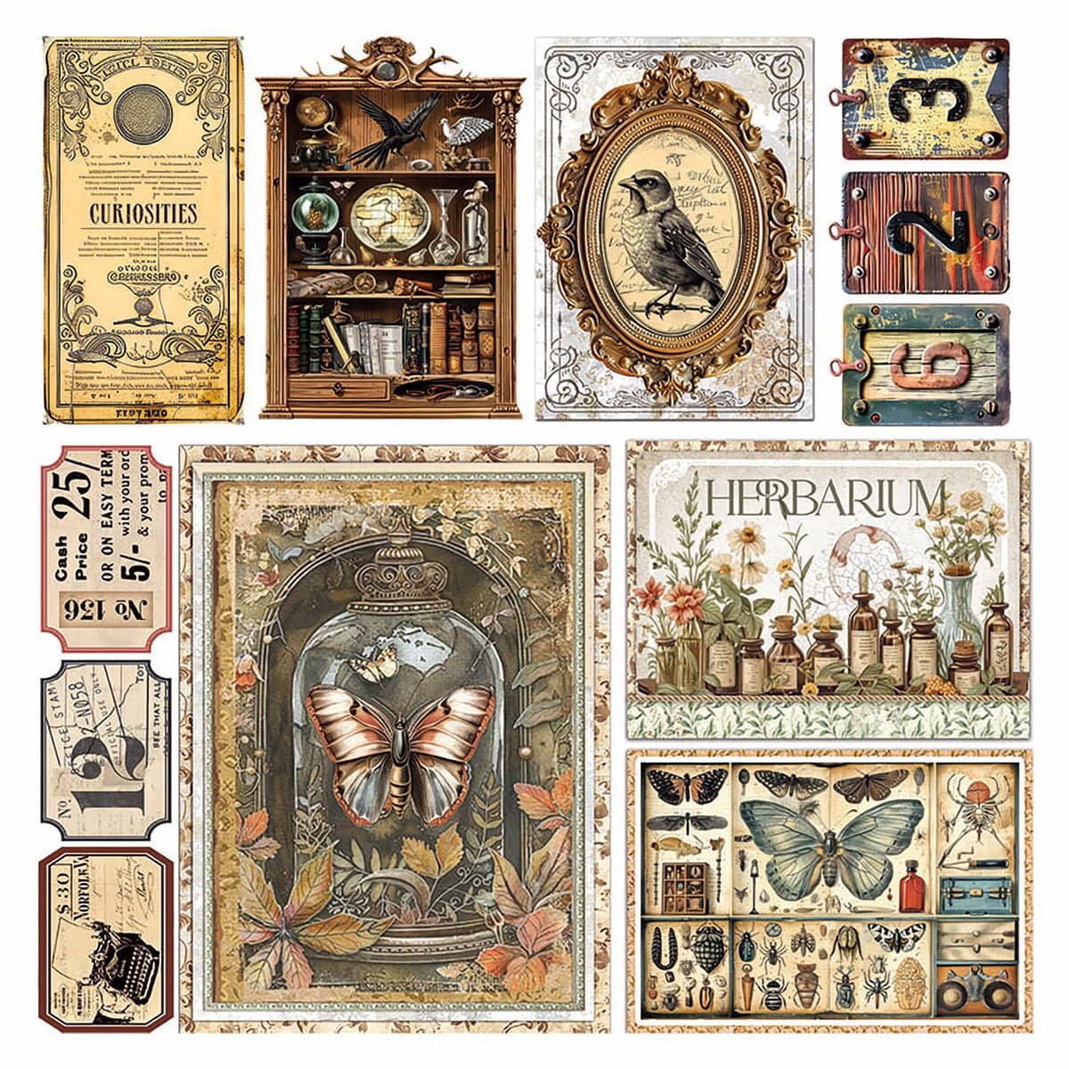 Vellum Paper 15 x 15 cm - Cabinet of curiosities - 6 - pack - 7 - Ciao Bella - Tidformera