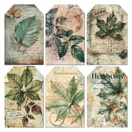 Vellum Paper 15 x 15 cm - Cabinet of curiosities - 6 - pack - 2 - Ciao Bella - Tidformera