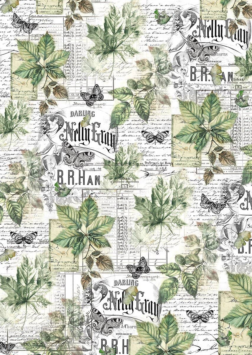 Vellum Paper A4 - Cabinet of Curiosities - 6 - pack - 6 - Ciao Bella - Tidformera