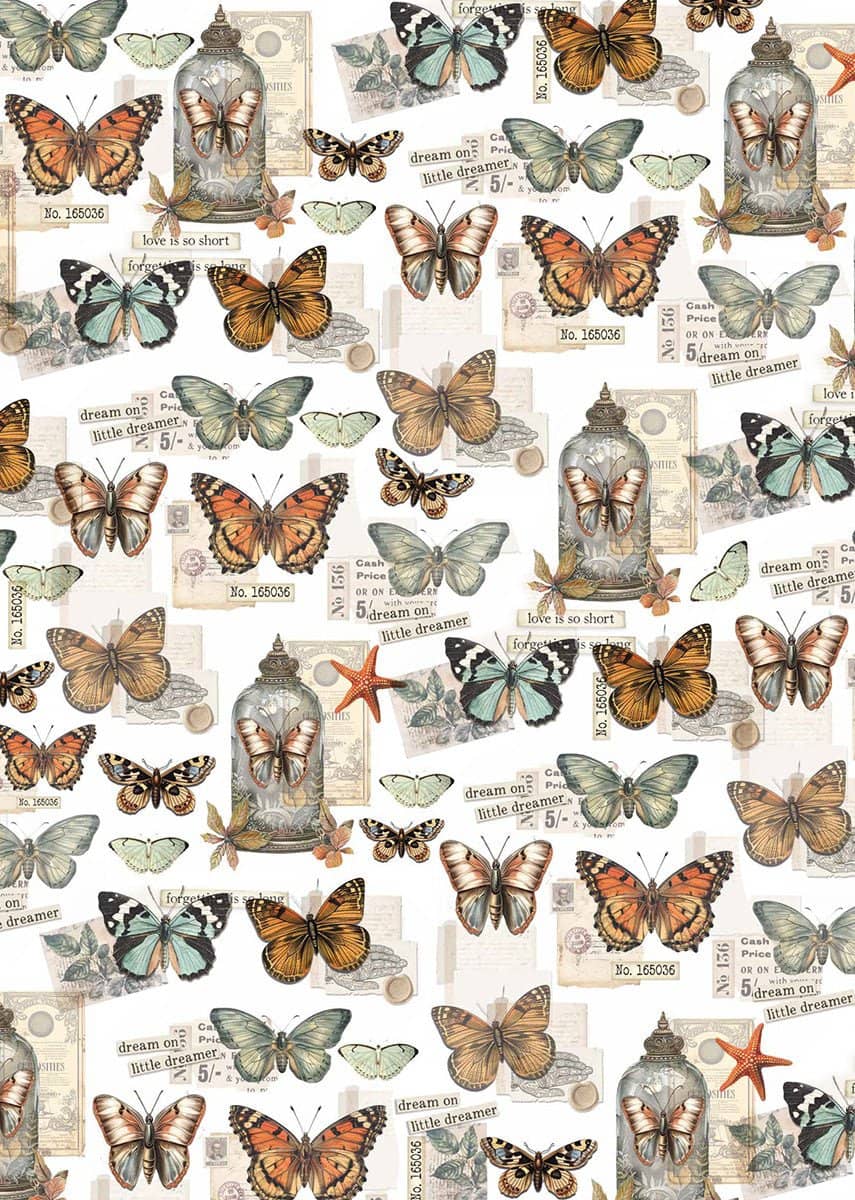 Vellum Paper A4 - Cabinet of Curiosities - 6 - pack - 3 - Ciao Bella - Tidformera