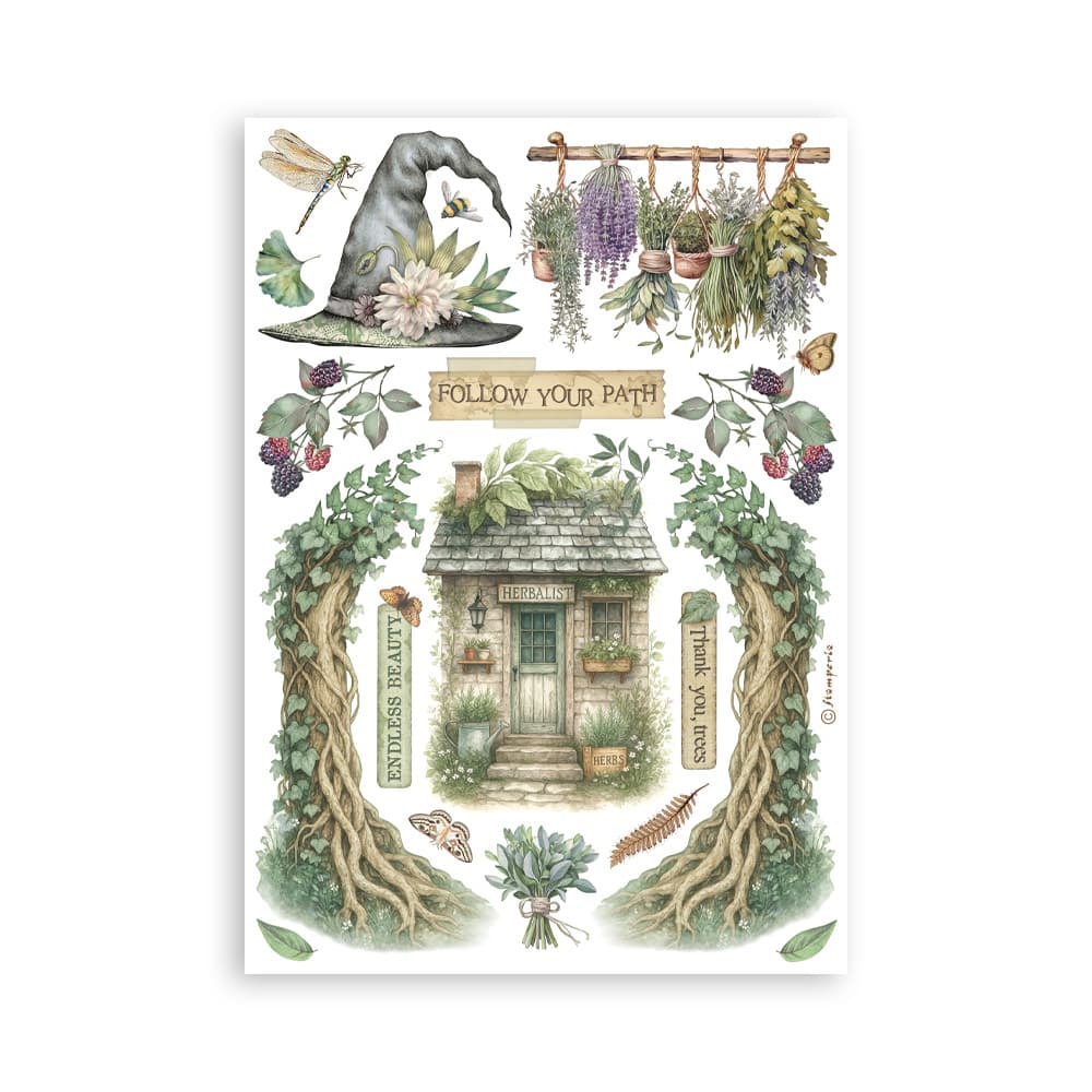 Washi pad - Herbarium Silvae - 3 - Stamperia - Tidformera