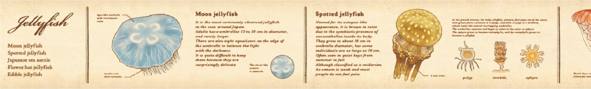 Washi Tape Encyclopedia - Jellyfish - 3 - MT masking tape - Tidformera