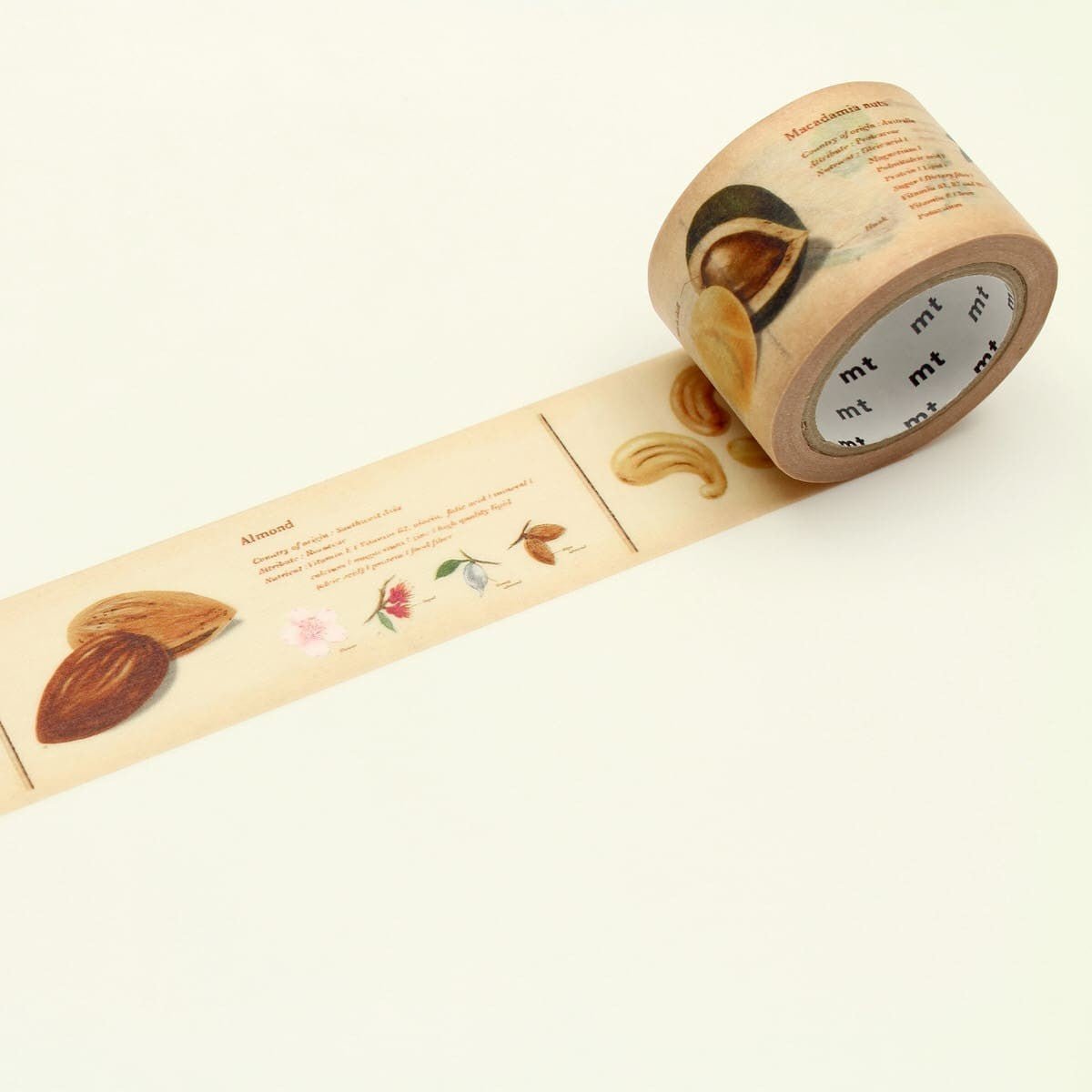 Washi Tape Encyclopedia - Nuts - MT masking tape - Tidformera