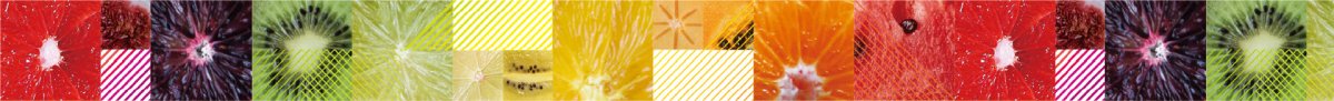 Washi Tape Fab Tracing Paper - Cross - section of fruit 15 mm - 3 - MT masking tape - Tidformera
