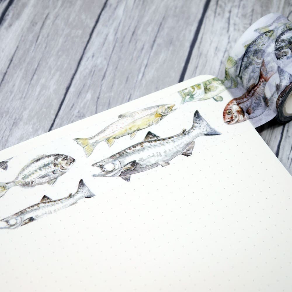 Washi tape Renke - Colored fishes 40 mm - 1 - Alexandra Renke - Tidformera