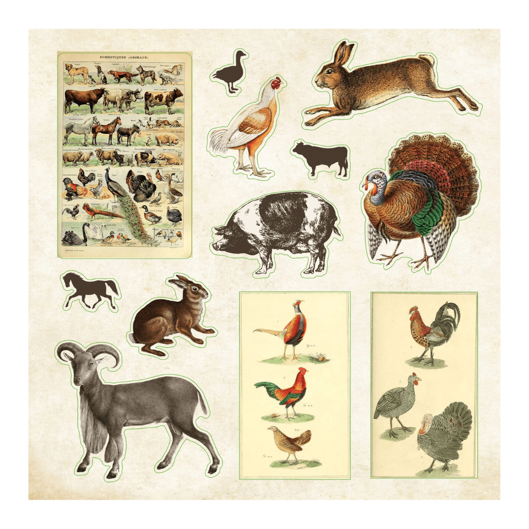 Zoological Ephemera - Sticker book - 2 - Peter Pauper Press - Tidformera