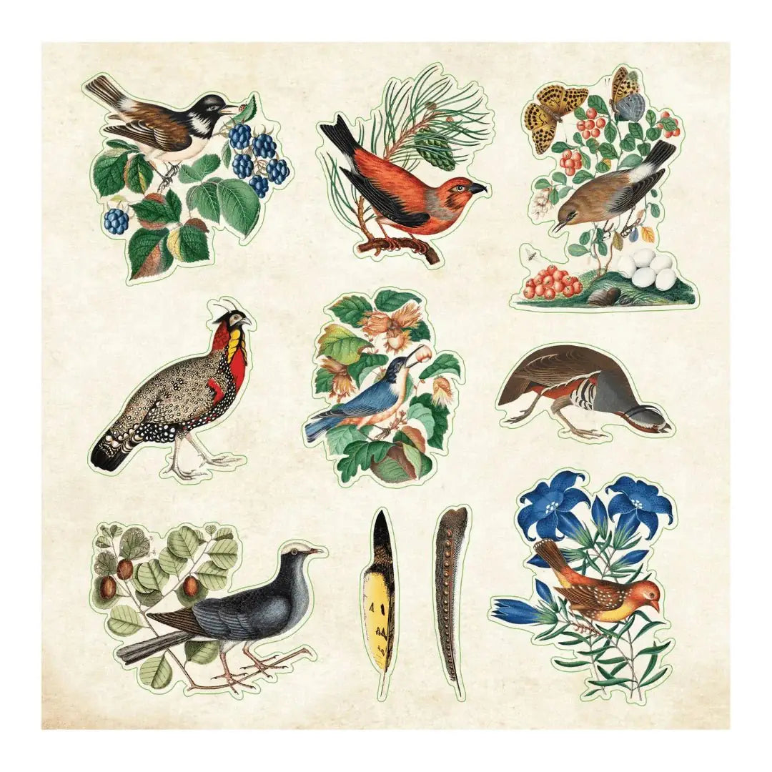 Zoological Ephemera - Sticker book - 4 - Peter Pauper Press - Tidformera