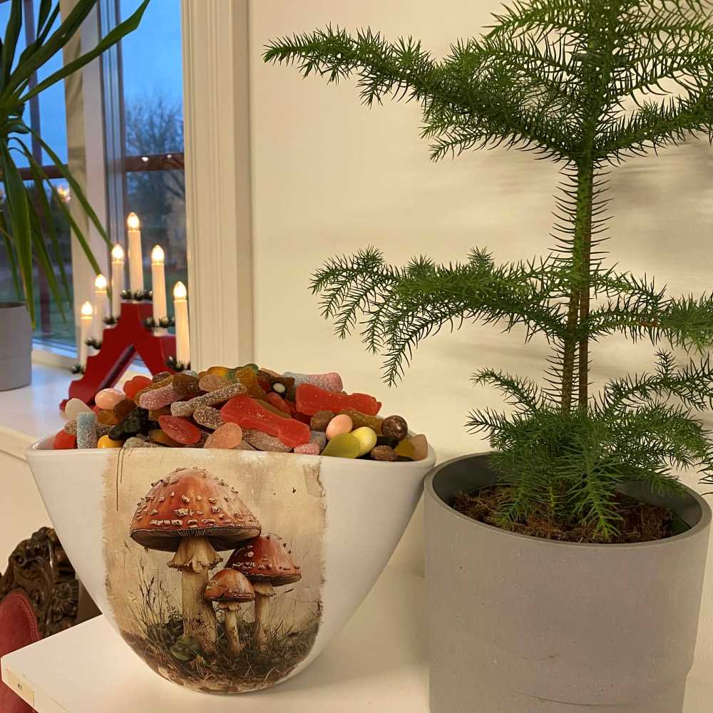 Tidformera: Vuxenleksaker för folk som gillar att skapa