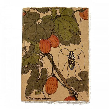 Video - Liasse Trésor Thé Notebooks - Tidformera