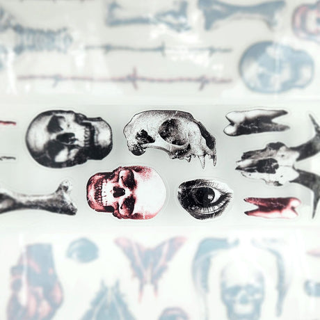 Pet Tape Pre-cut - Jextended X Mic - 70 mm - Grim Findings
