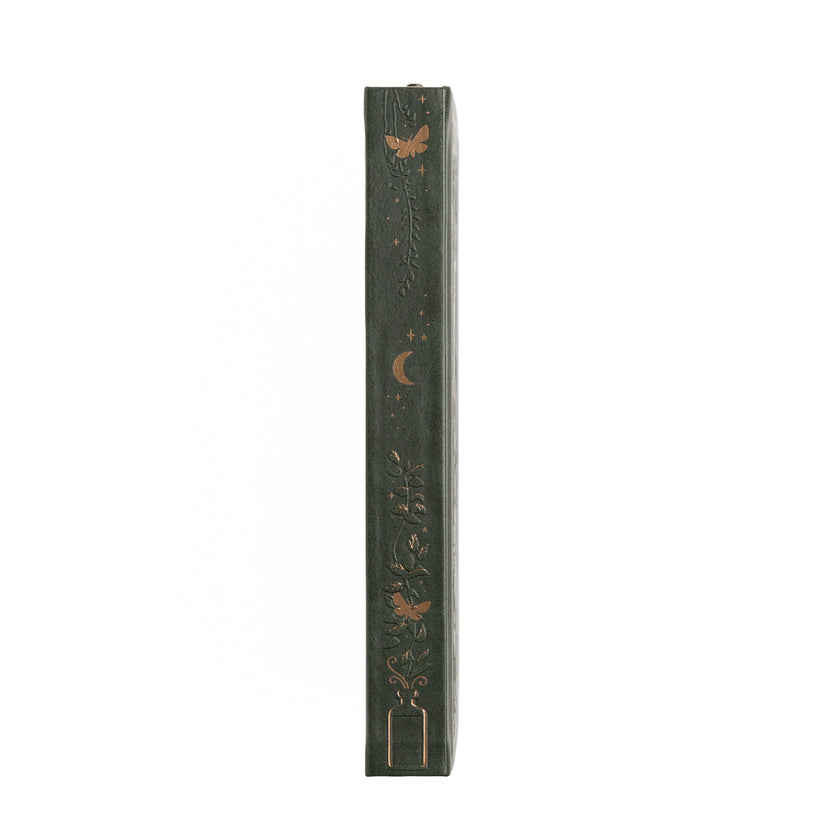 Dotted Notebook - B5 - Apothecary Shelf