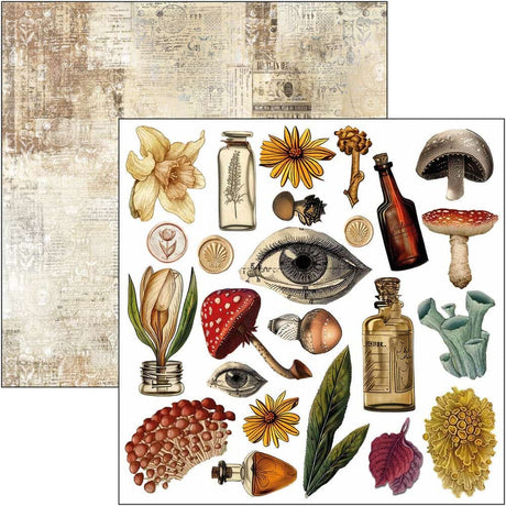 Fussy Cut Pad 24-pack - Cabinet of curiosities