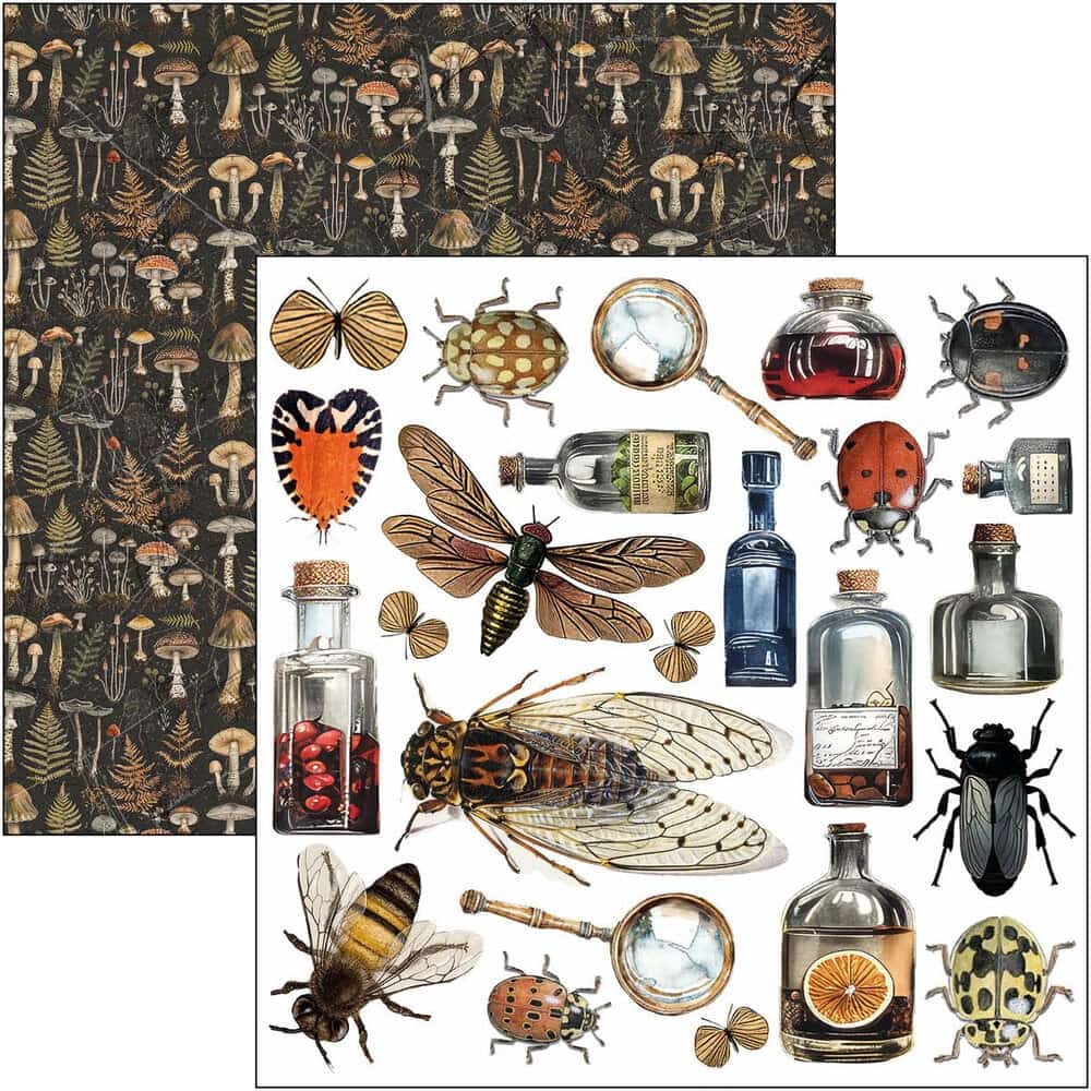 Fussy Cut Pad 24-pack - Cabinet of curiosities