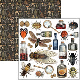 Fussy Cut Pad 24-pack - Cabinet of curiosities