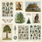 Enchanted Forest Sticker book