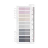 Sticky Notes 10 colors - Winter's Frost Pastel