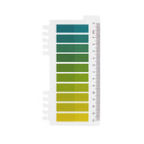 Sticky Notes 10 colors - Sunburst Green