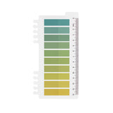 Sticky Notes 10 colors - Citrus Green