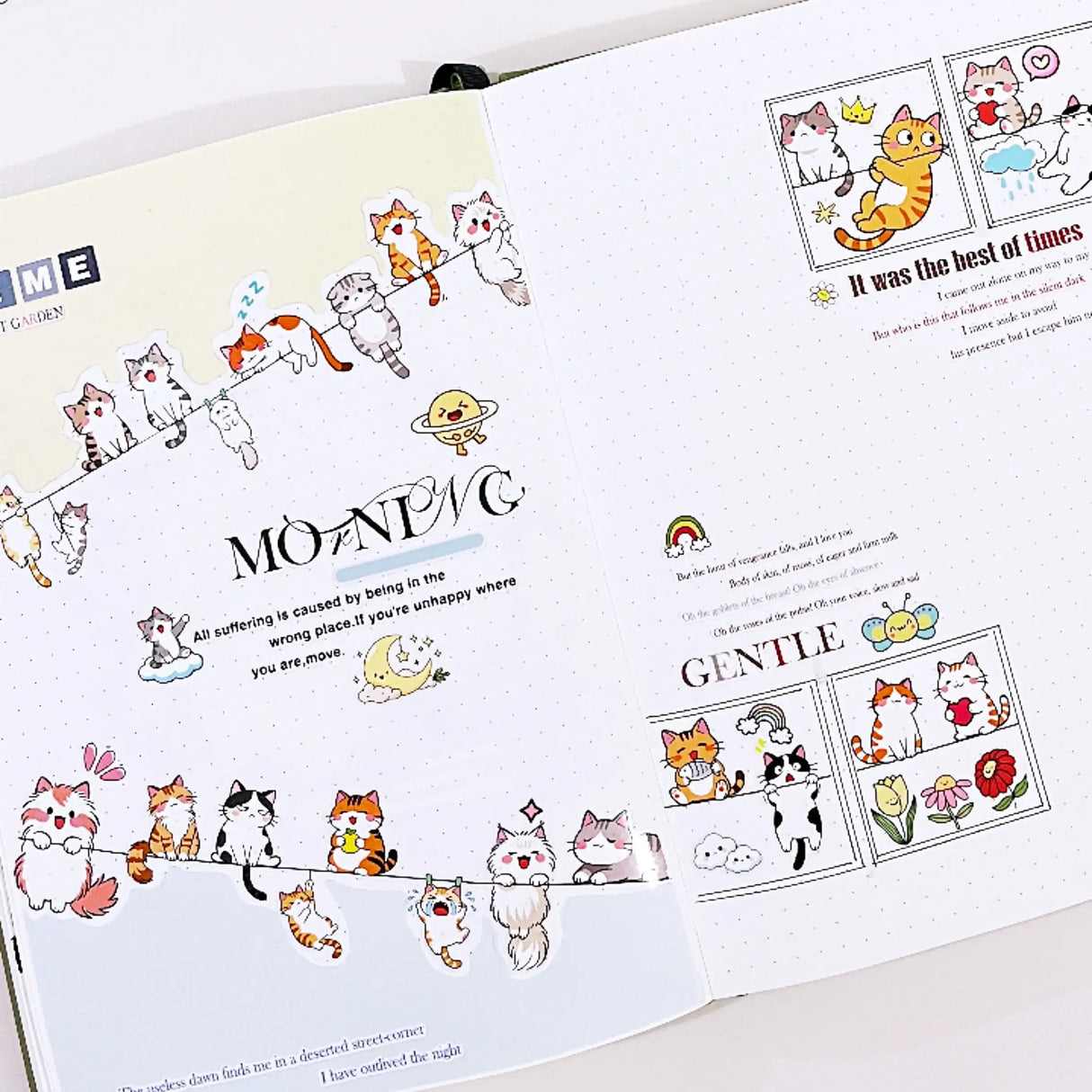 Sticker Pet Tape - Pre-cut - 40 mm - Kitty Conga