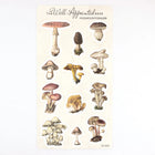 Stickers - Mushroom Forager
