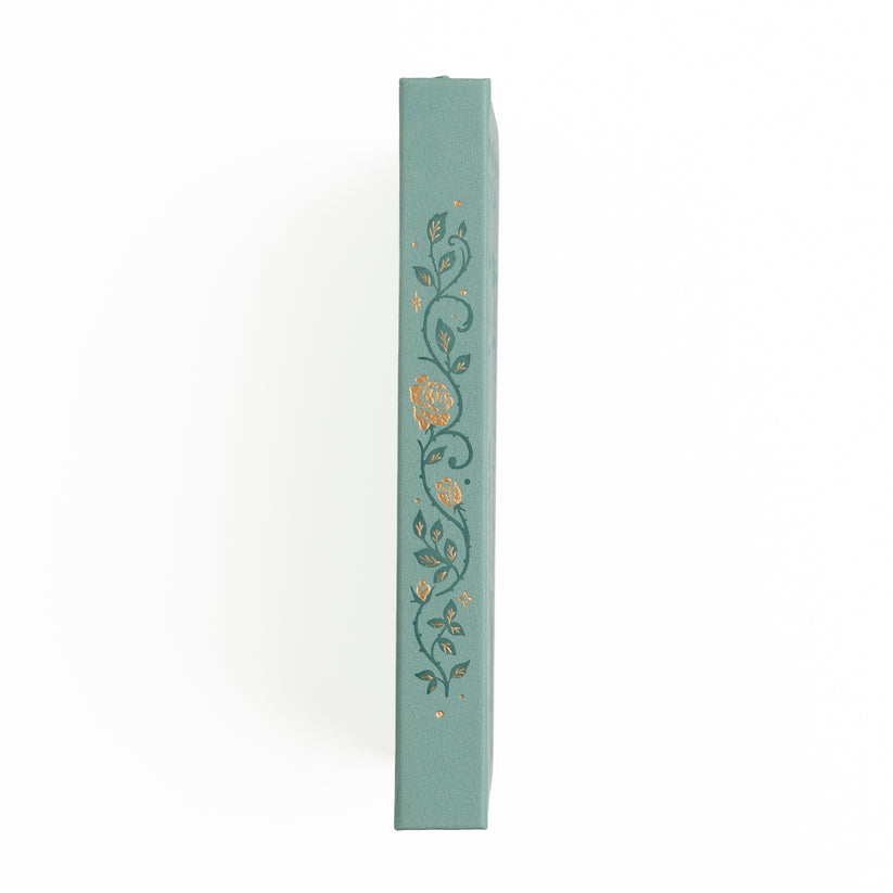 Dotted Notebook - Slim - Books of Beauty