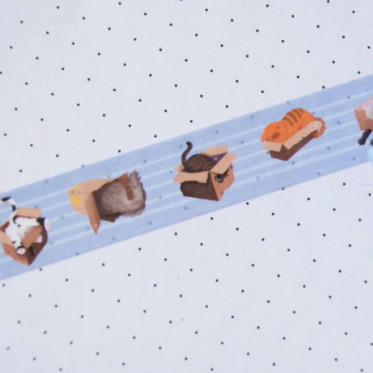 Washi tape Hop & Flop - Cat in Box
